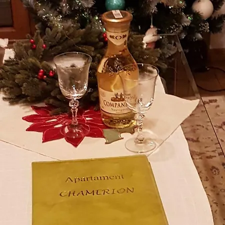 Rezydencja Tatry - Apartament Chamerion 1 Zakopane Zewnętrze zdjęcie
